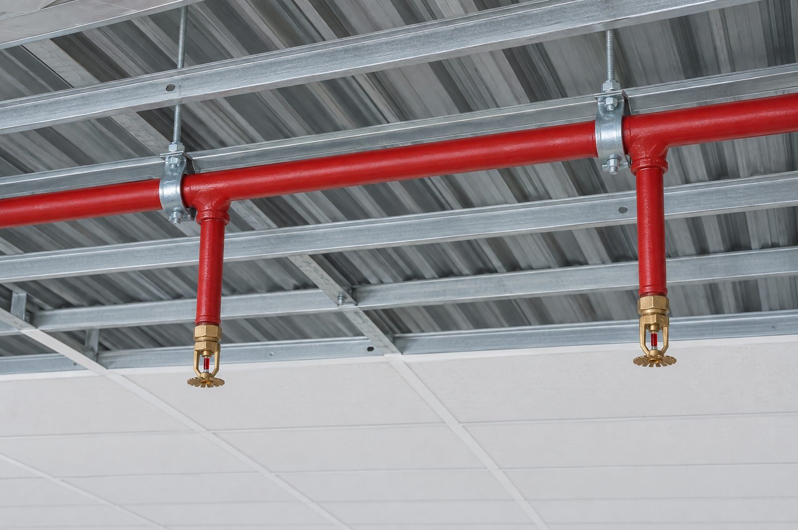 A red sprinkler main with two brass pendant heads between steel ceiling framing